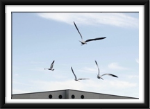 leaving the nest behind